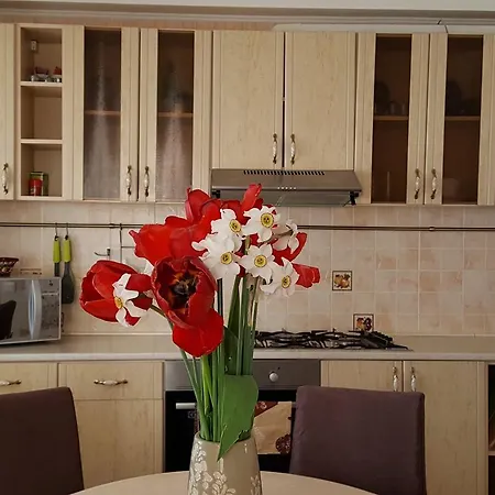With Panoramic Sea View Holiday home Odesa